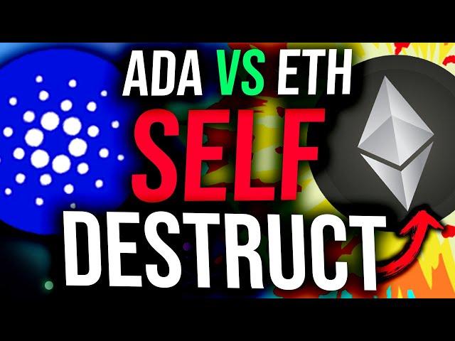 Cardano & The ETH Bugs: A Blockchain Trilogy... Is the writing on the wall? (Cardano Daily #62)