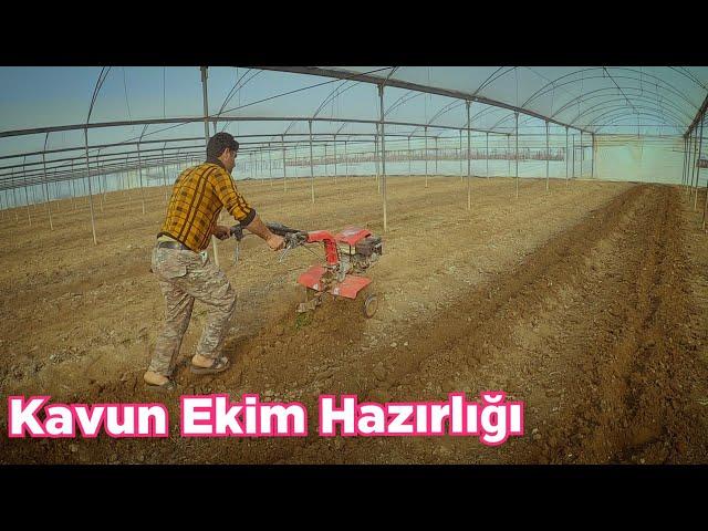 Preparation for planting melon, growing melon in the greenhouse.  Heleke Village Tarsus Mersin