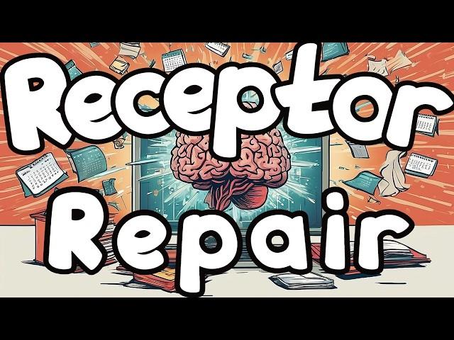 How To Upregulate Dopamine Receptors After Porn Addiction / Repair Dopamine Receptors (in General)