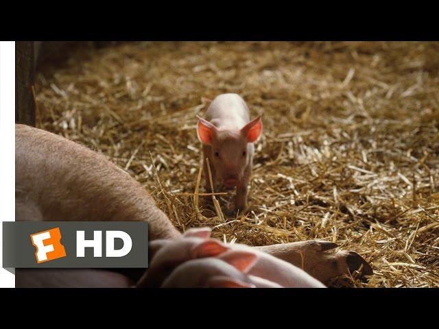 Charlotte's Web (1/10) Movie CLIP - Fern Saves Wilbur (2006) HD