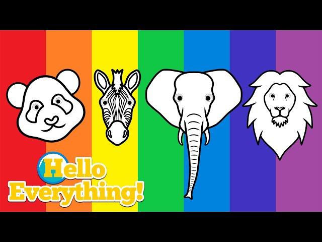 Colorful Animals | Colors of the Rainbow