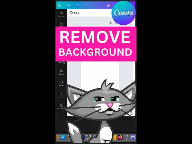 How to Remove the Background of an Image in Canva