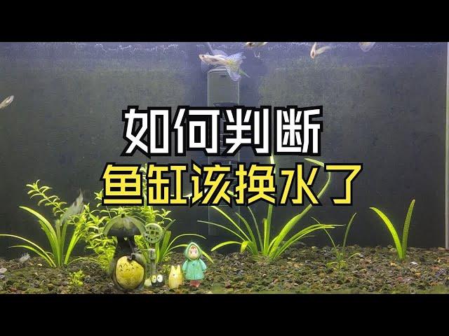 简单判断鱼缸该换水的方法