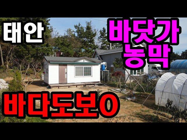 [469] 바닷가 농막 매매. 바다 도보로 가능한 농막. 주말농장, 주말주택용으로 굿~!