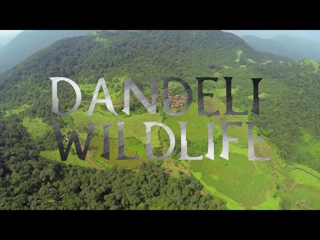 DANDELI WILDLIFE