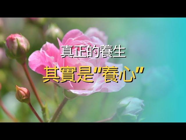 養心之道：揭示真正的養生之秘