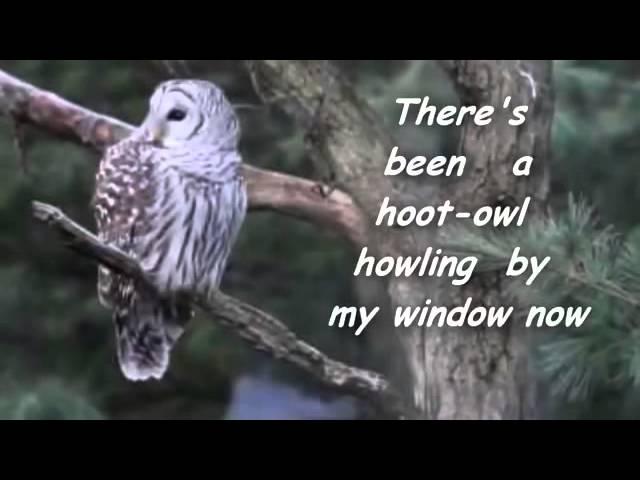 Wildfire   Lyrics   Michael Martin Murphy