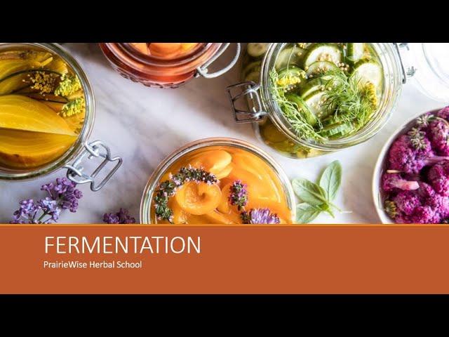 Nutrition Class: Lactofermentation (PrairieWise Herbal School)