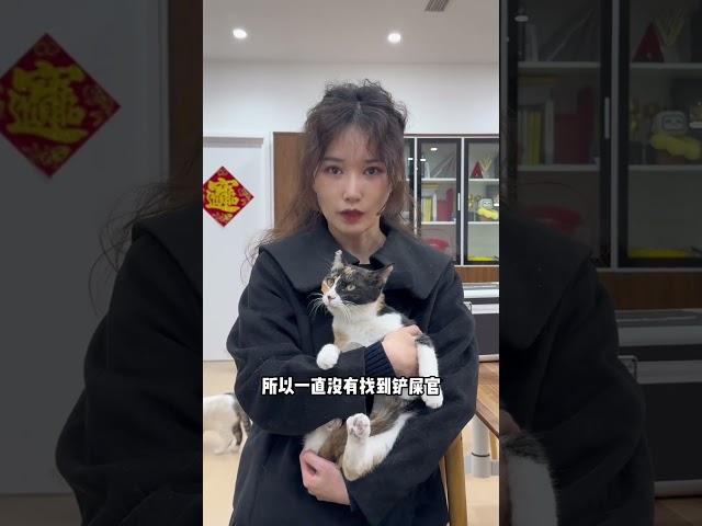 “大女人”专场 领养代替购买 萌宠出道计划 猫德学院 流浪猫领养 关注流浪动物