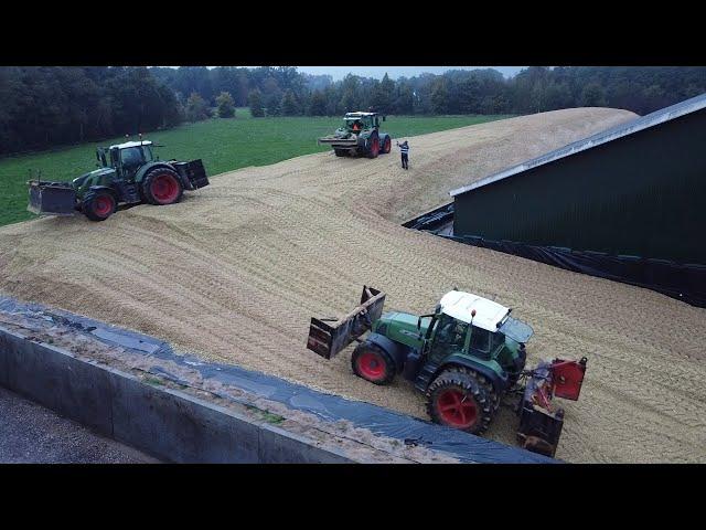 Corn silage @ Back