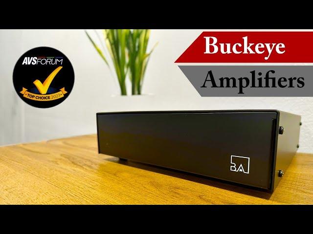 Are Buckeye Amps The Best You Can Buy? Dylan Thinks So!