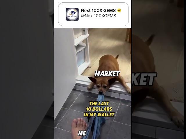 Market With me. #crypto #funny #altcointrader #memes #altcointrading #trader #tradingmemes #funny