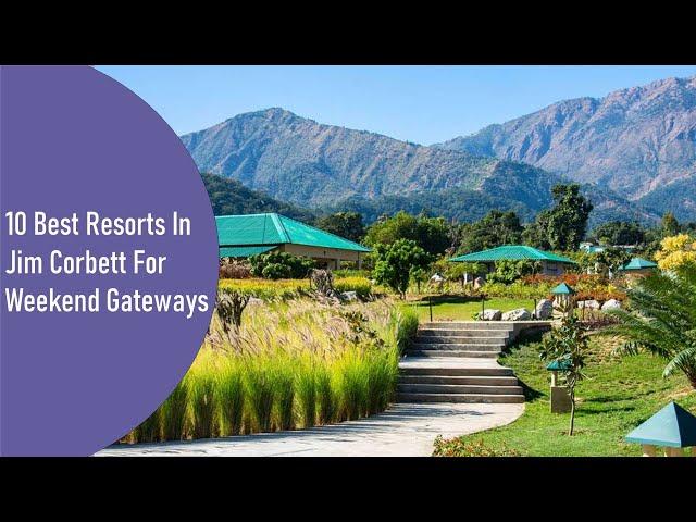 5 Best Resorts In Jim Corbett Under Rs 3000