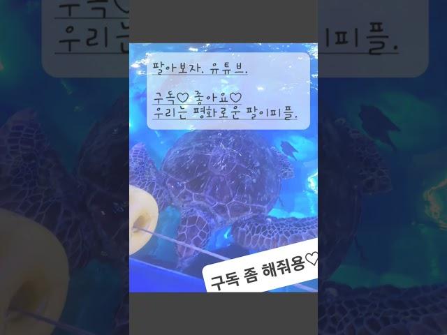 맘친구 만들기 #맘카페친구 #맘친구 #맘카페 #맘친구만들기 #vlog #맘친구만드는방법 #맘친구만들기포기한이유 #맘카페친구만들기포기한이유 #팔이피플 #구독 #좋아요 #mom