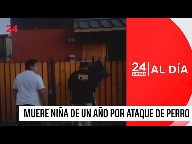 Muere niña de un año tras ser atacada por perro pitbull en Talca | 24 Horas TVN Chile