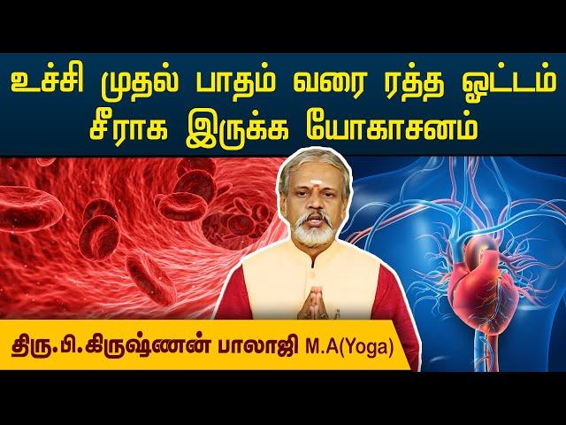 உச்சி முதல் பாதம் வரை ரத்த ஓட்டம் சீராக இருக்க யோகாசனம் | Krishnan Balaji | Degam Sirakka Yogam |