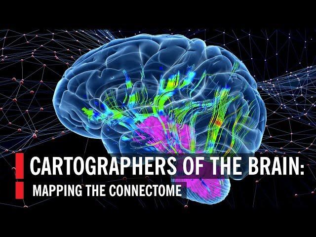 Cartographers of the Brain: Mapping the Connectome