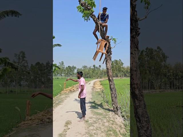 2.The boy was sitting under the tree, what happened next?