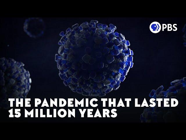 The Pandemic That Lasted 15 Million Years