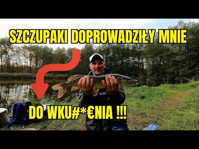 SZCZUPAKI NA SPINNING i CASTING #wędkarstwo #spinning #fishing