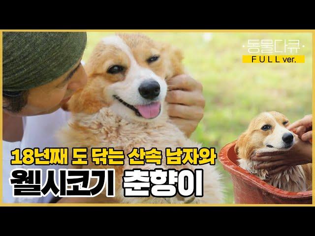 [풀버전] "이게 바로 행복인 것이여~" 온전히 자기 삶을 즐기며 사는 자연인과 반려동물의 산중 낙원 | 동물극장 단짝 EP27 |  KBS 220806 방송