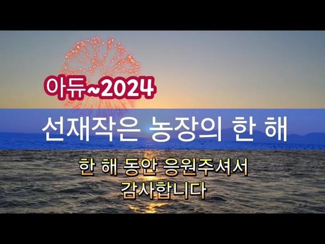 한 해 동안 선재작은농장을 사랑해주셔서 감사합니다/선재작은농장tv