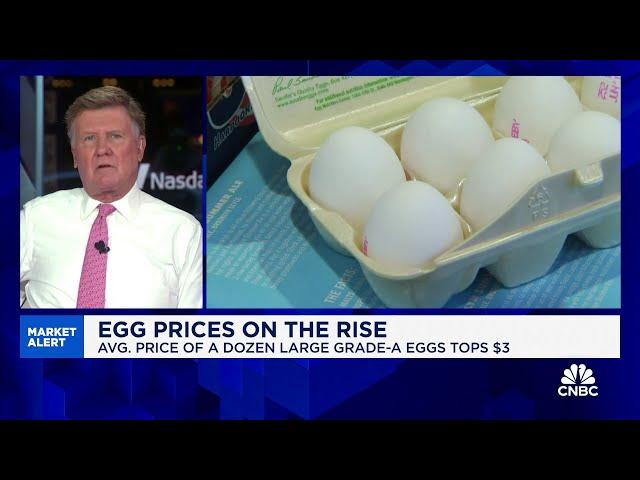 Egg prices on the rise: Here's what to know