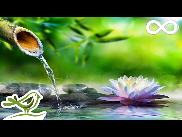 Soothing Relaxation: Relaxing Piano Music & Water Sounds for Sleep, Meditation, Spa & Yoga