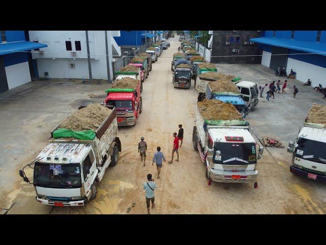 Massive Job!! Dump Truck 5Ton Fill Land, Skill Pushing Soil by Bulldozer D58E Komatsu, Mix VDO