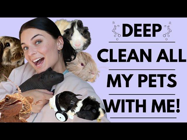 DEEP CLEAN MY PETS WITH ME!!