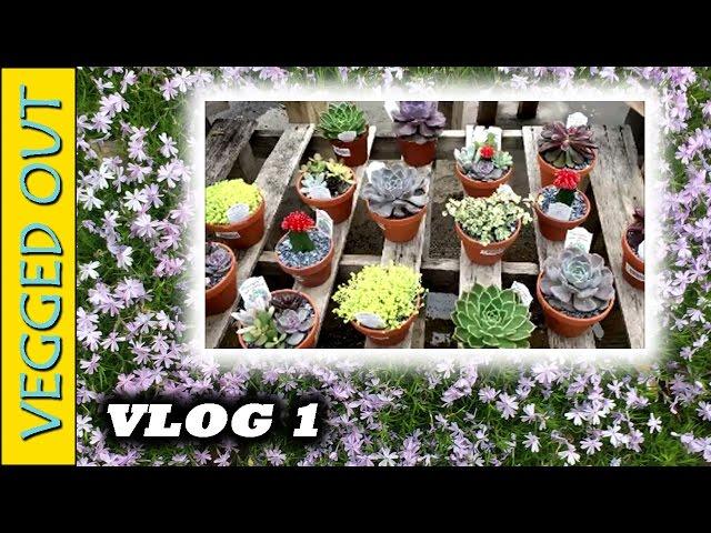 VEGGED OUT VLOG 1 INTRO - SUCCULENTS GARDENING PLANT BASED LIFESTYLE