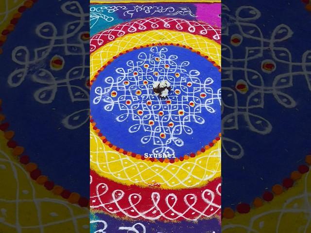 Rangoli Compitation 2025/Winner rangoli #youtubeshorts #srushti #shortvideo