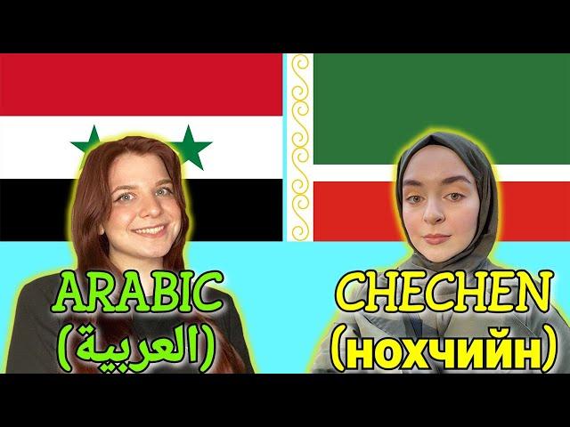 Similarities Between Arabic and Chechen