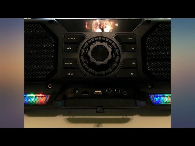 Karaoke Machine for Adults & Kids, VeGue Portable Karaoke Bluetooth PA System with review