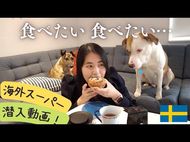 【スウェーデン生活】近所のスーパー初公開！犬と〇〇を食べる！