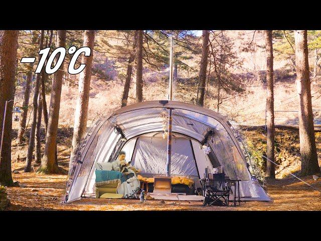 Winter Solo Camping in Forest with My Dog | Relaxing in the Hot Tent | Wood Stove ASMR