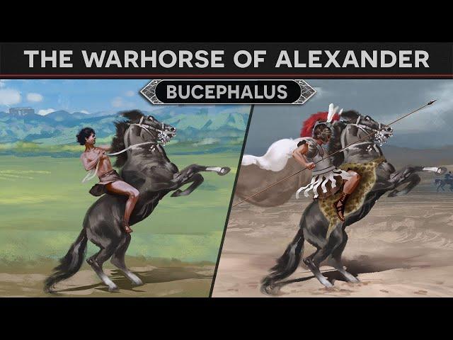 Bucephalus - Warhorse of Alexander the Great DOCUMENTARY