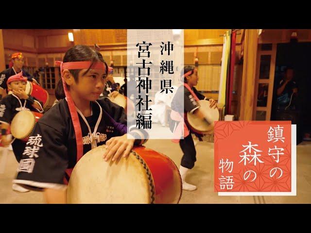 鎮守の森の物語　沖縄県　宮古神社編