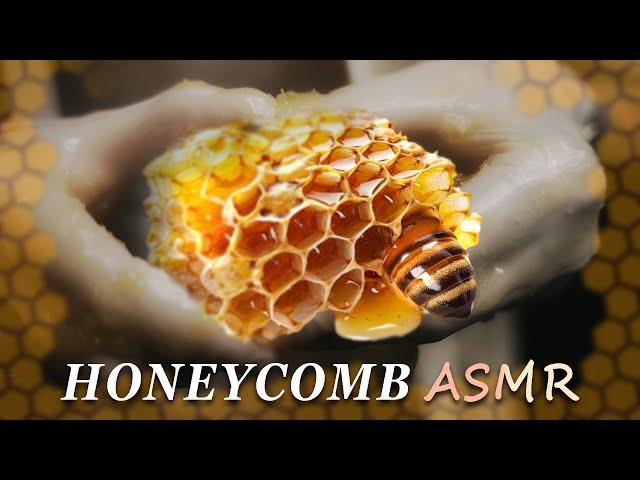 Honeycomb Squish ASMR | Satisfying Whispers For INSTANT Sleep & Tingles