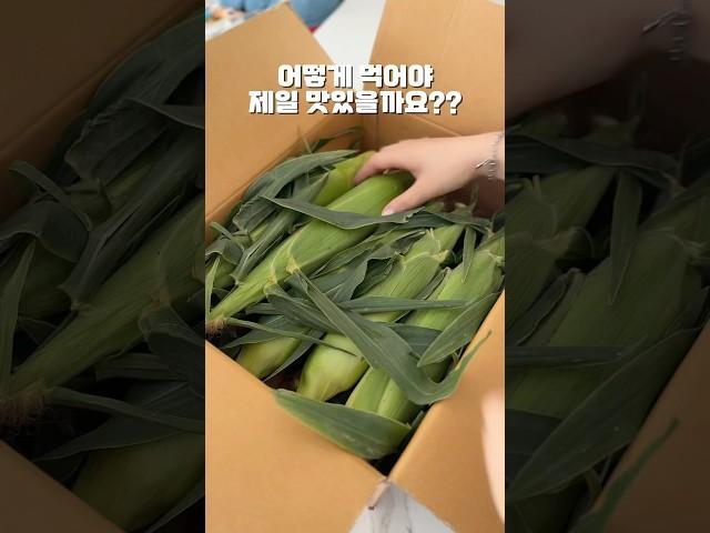 이 방법만큼은 절대! 하지마세요!! #초당옥수수 맛있게 먹는법