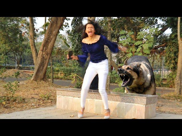 পাগল কুকুর মেয়েটাকে এ কি করলো?? Dog Barking Prank | PrankBuzz