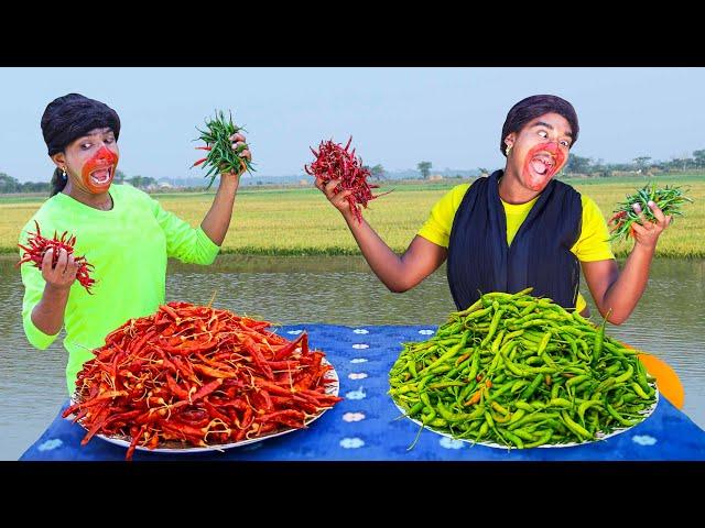 Desi Murgi Chor Comedy  Very Special Trending Funny Comedy Video 2024  Amazing Comedy Video EP 374