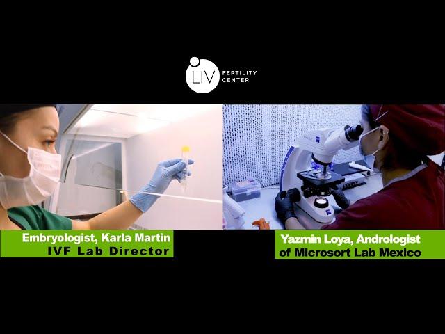 IVF IN Mexico - LIV Fertility Center Lab