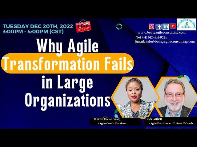 Why Agile Transformation Fails in Large Companies | Agile Coach | Scrum Master | Product Manager