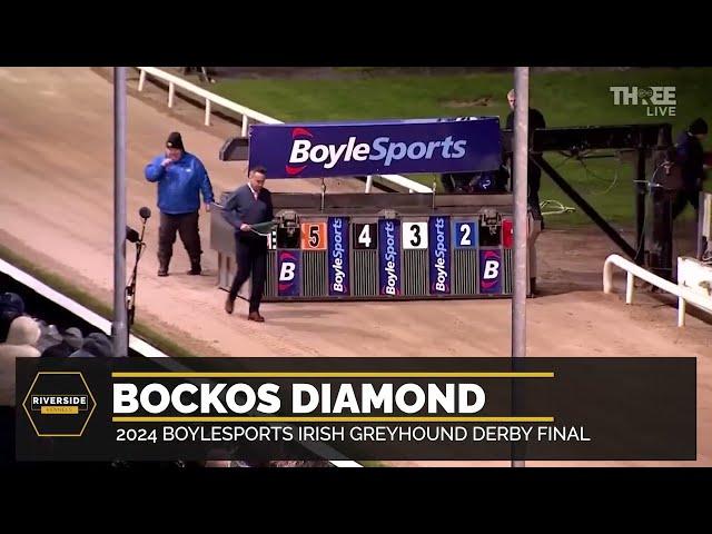 Bockos Diamond - 2024 BoyleSports Irish Greyhound Derby Final