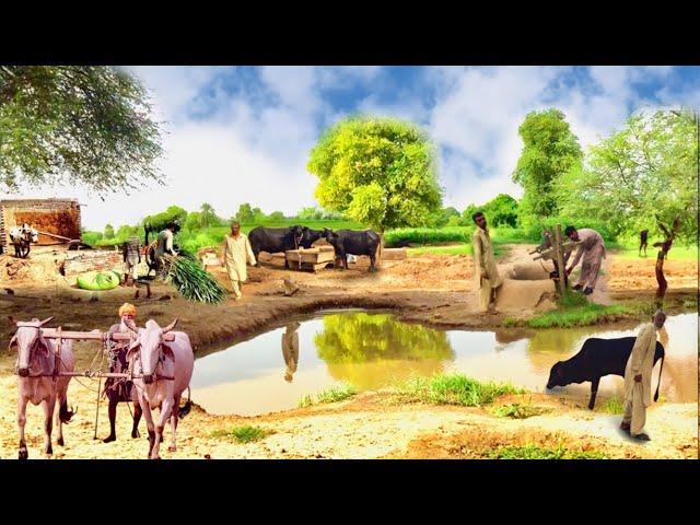 Wonderful old village life || Amazing old culture in Pakistan || Old rural culture village life 1940