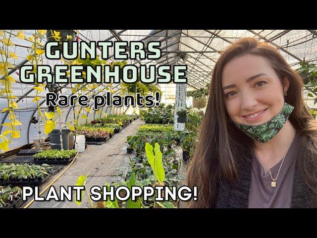 Go PLANT SHOPPING with me! | RARE plants! | Gunters Greenhouse