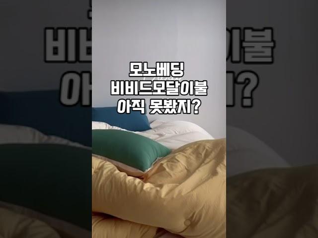 2024 봄이불 최신트렌드