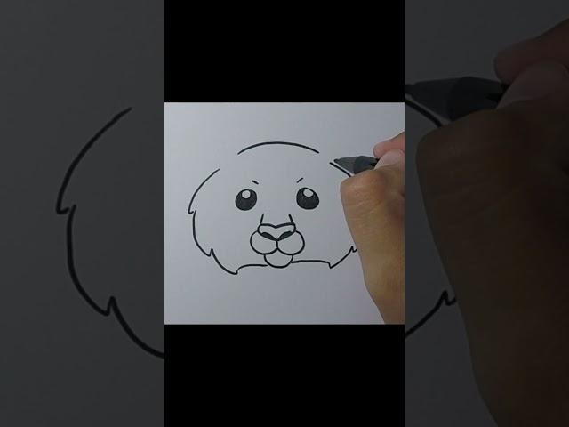 How to Draw Lion #shorts