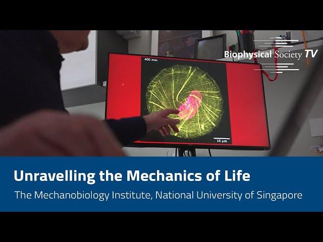 Unravelling the Mechanics of Life: The Mechanobiology Institute, National University Of Singapore